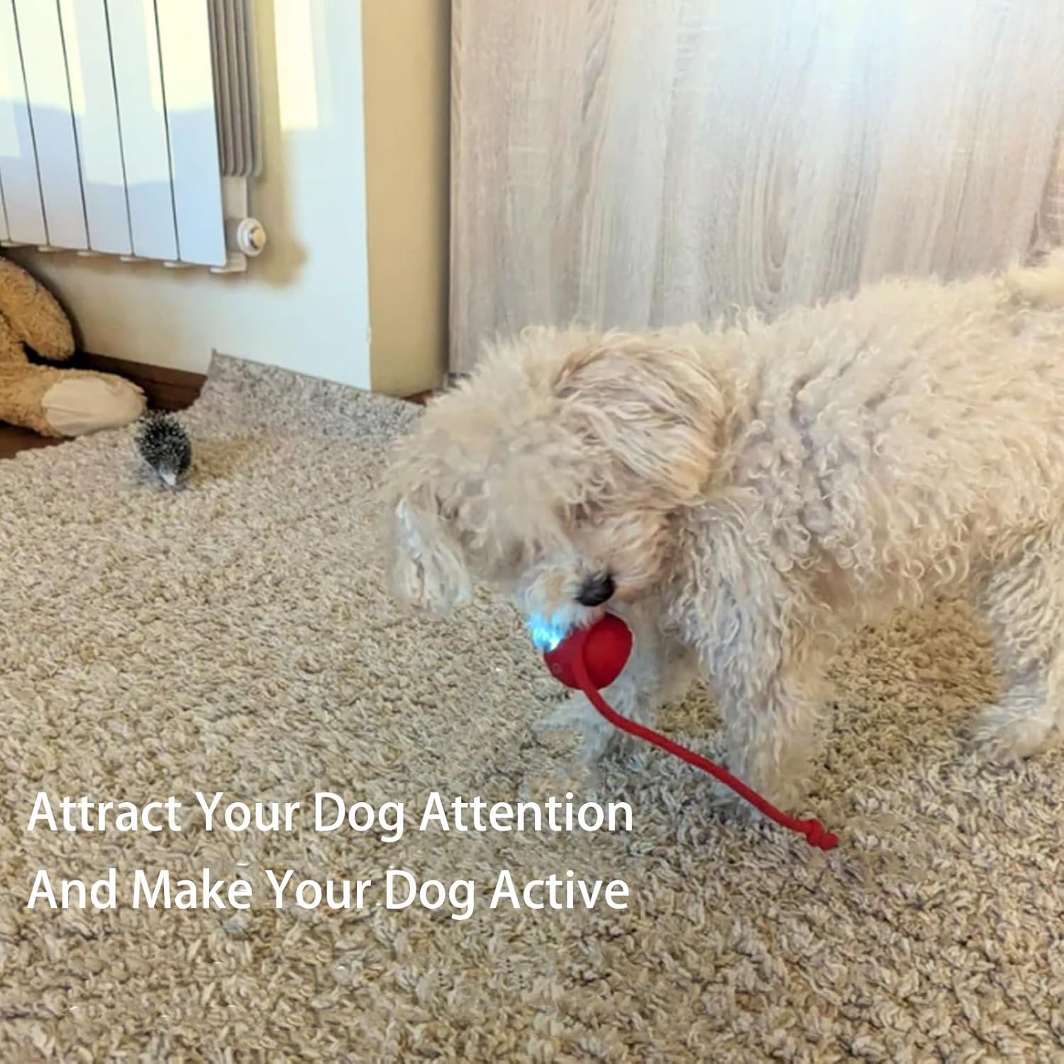 ODALIT™ smart chase pet toy ball